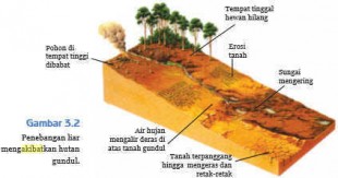 Akibat Kegiatan Manusia Terhadap Keseimbangan Lingkungan 1 Akibat Kegiatan Manusia