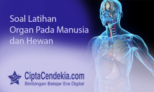 Latihan Soal Organ Tubuh Manusia Dan Hewan 2 Latihan Soal Organ Tubuh Manusia Dan Hewan