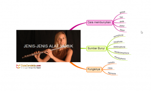 Jenis-Jenis Alat Musik Lengkap Dengan Gambar 3 Jenis-Jenis Alat Musik
