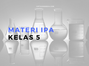 Materi Ipa Kelas 5 Lengkap Dengan Latihan Soal 1 Materi Ipa Kelas 5